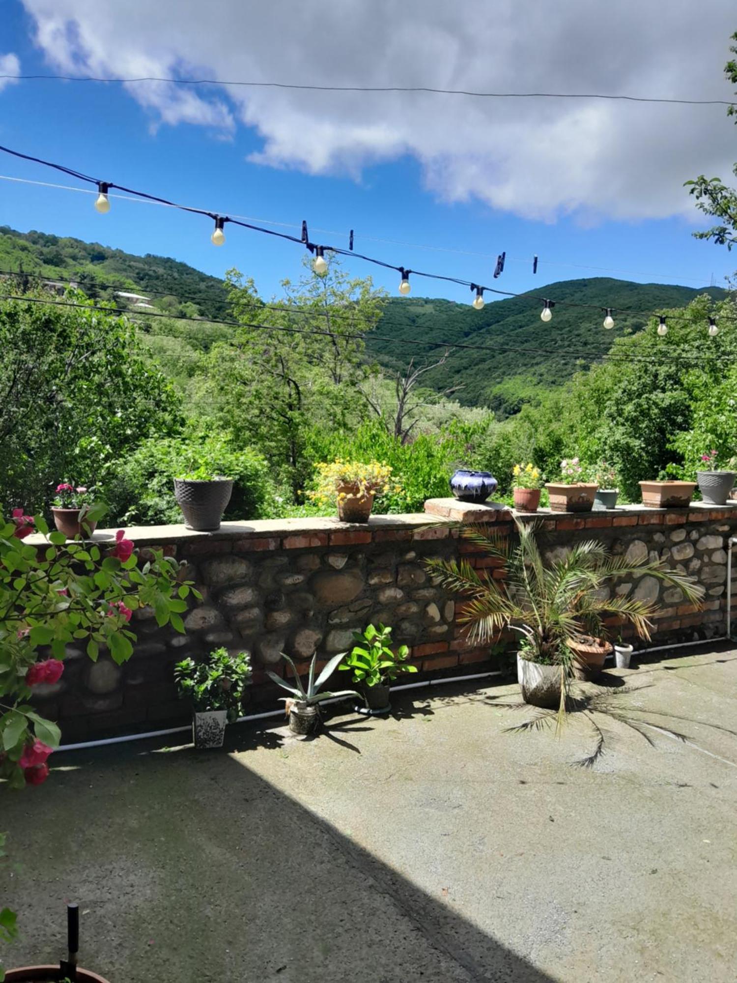 Emilia Apartment Sighnaghi Bagian luar foto